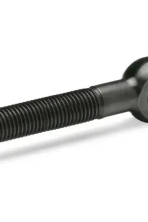J.W. Winco GN 1524 Swing Bolts, Steel, with Extended Thread Length, Blackened, M24, 6-5/16"L, 1" ID Hot Deal