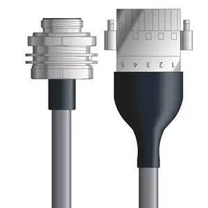 Crafted DN4110050S02 - LAPP UNITRONIC® DeviceNet Cordsets 15 & 18 AWG / 1 + 1 pair Bus - Gray PVC - 7/8 in Male Bulkhead / Plug Header connectors - 2m
