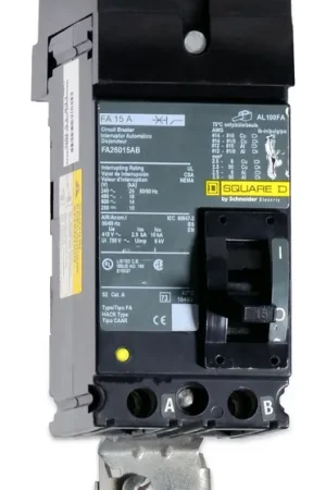 Today Only Square D FA26015AB - 15A 2 Pole Molded Case Circuit Breaker