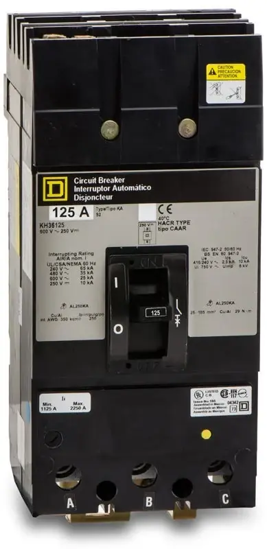 Square D KH26125 - 125A 2 Pole Molded Case Circuit Breaker Today Only