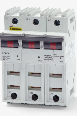 Premium Eaton CCP-3-60CF Fuse