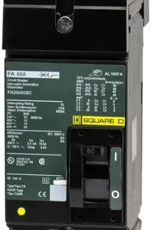 Top Pick Square D FH26060BC - 60A 2 Pole Molded Case Circuit Breaker