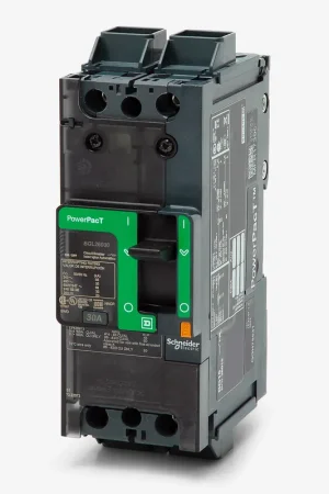 Grab Now Schneider Electric BGL26030 2 Pole Circuit Breaker