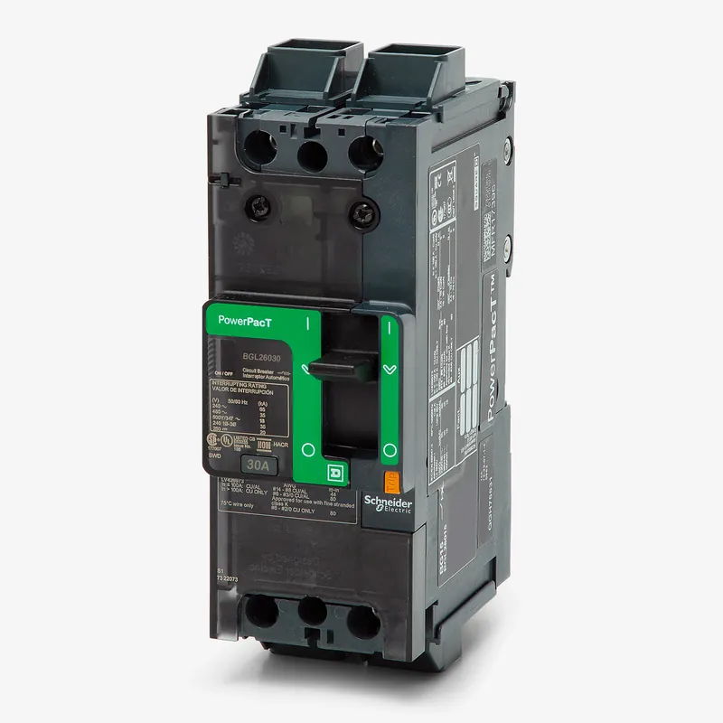 Grab Now Schneider Electric BGL26030 2 Pole Circuit Breaker