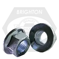 While Supplies Last M20-2.50 Hex Flange Nuts, Non-Serrated, Metric Class 8, Zinc Cr+3, Coarse (UNC), DIN 6923, Qty 25