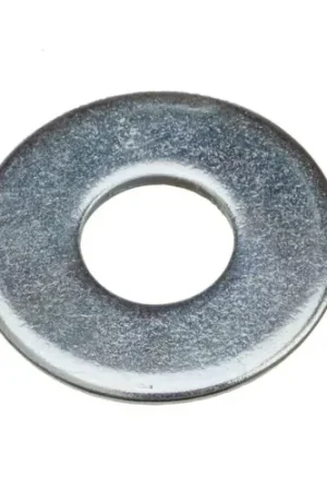 In Demand Ridgid 60995 A3039 3/4"R"B Flt Washer
