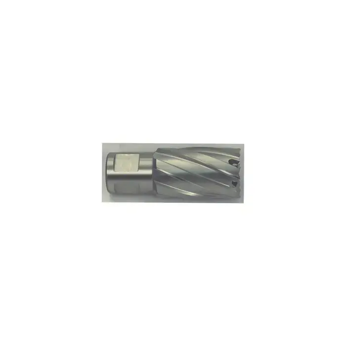 Low Price HOUGEN 12164 2", 1" Deep High Speed Steel Annular Cutter or Tool